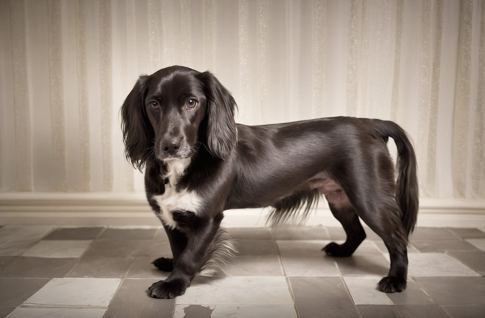 Estilismo y accesorios exclusivos